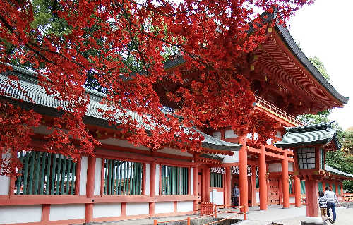 氷川神社